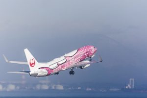 中部国際空港セントレア　飛行機　愛知県常滑市の観光・撮影スポットの画像と写真