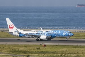 中部国際空港セントレア　飛行機　愛知県常滑市の観光・撮影スポットの画像と写真