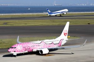 中部国際空港セントレア　飛行機　愛知県常滑市の観光・撮影スポットの画像と写真