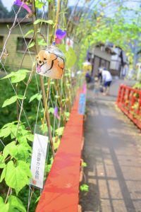 小渡夢かけ風鈴まつり、7月夏、愛知県豊田市の観光・撮影スポットの画像と写真　