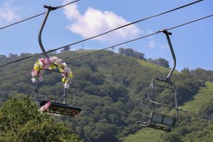 ダイナランド　ユリ園　8月　夏の花　岐阜県郡上市の観光・撮影スポットの画像と写真