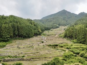 四谷千枚田　花火　6月愛知県新城市の観光・撮影スポットの画像と写真