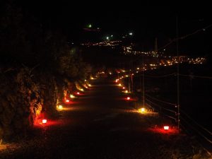 四谷千枚田　キャンドルライトアップ　6月　愛知県新城市の観光・撮影スポットの画像と写真