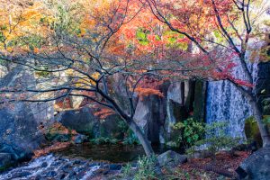 徳川園、龍門の瀧、紅葉、秋、11月、名古屋市東区の観光・撮影スポットの画像と写真
