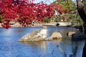 徳川園、龍仙湖、紅葉、秋、11月、名古屋市東区の観光・撮影スポットの画像と写真