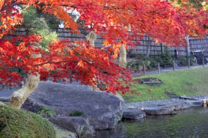 徳川園、龍仙湖、紅葉、秋、11月、名古屋市東区の観光・撮影スポットの画像と写真
