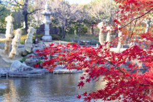 徳川園、龍仙湖、紅葉、秋、11月、名古屋市東区の観光・撮影スポットの画像と写真