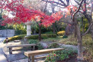 徳川園、紅葉、秋、11月、名古屋市東区の観光・撮影スポットの画像と写真