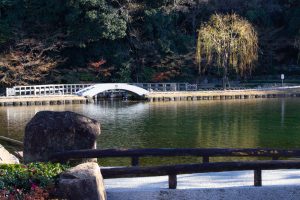 徳川園、龍仙湖、紅葉、秋、11月、名古屋市東区の観光・撮影スポットの画像と写真