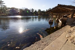 徳川園、龍仙湖、紅葉、秋、11月、名古屋市東区の観光・撮影スポットの画像と写真