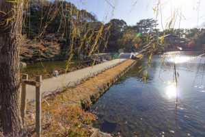 徳川園、龍仙湖、紅葉、秋、11月、名古屋市東区の観光・撮影スポットの画像と写真