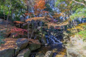徳川園、大曽根の瀧、紅葉、秋、11月、名古屋市東区の観光・撮影スポットの画像と写真