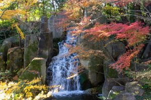 徳川園、大曽根の瀧、紅葉、秋、11月、名古屋市東区の観光・撮影スポットの画像と写真