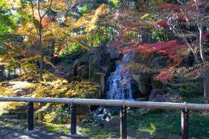 徳川園、大曽根の瀧、紅葉、秋、11月、名古屋市東区の観光・撮影スポットの画像と写真