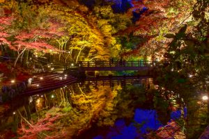 岩屋堂公園　紅葉　ライトアップ　11月　愛知県瀬戸市の観光・撮影スポットの画像と写真