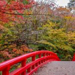 岩屋堂公園　紅葉　11月　愛知県瀬戸市の観光・撮影スポットの画像と写真