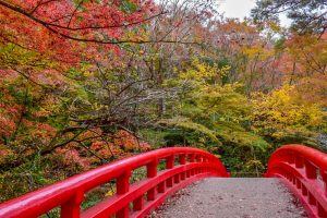 岩屋堂公園　紅葉　11月　愛知県瀬戸市の観光・撮影スポットの画像と写真
