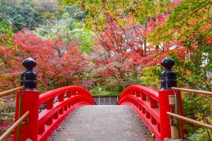岩屋堂公園　紅葉　11月　愛知県瀬戸市の観光・撮影スポットの画像と写真