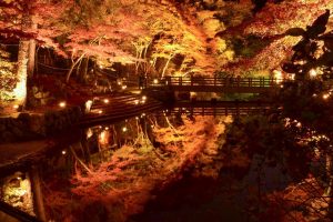岩屋堂公園　紅葉　ライトアップ　11月　愛知県瀬戸市の観光・撮影スポットの画像と写真