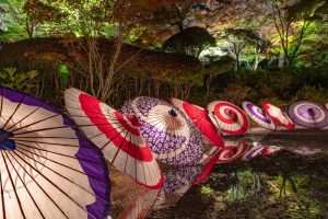 和傘　きらめき明治村　イルミネーション　夜景　12月　1月　愛知県犬山市の観光・撮影スポットの写真と画像