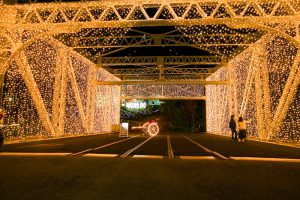 隅田川新大橋　きらめき明治村　イルミネーション　夜景　12月　1月　愛知県犬山市の観光・撮影スポットの写真と画像