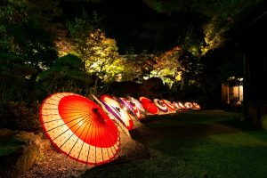 和傘　きらめき明治村　イルミネーション　夜景　12月　1月　愛知県犬山市の観光・撮影スポットの写真と画像