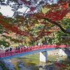 香嵐渓　紅葉　橋　11月　秋　　愛知県豊田市の観光・撮影スポットの画像と写真