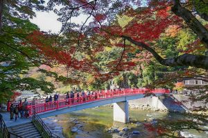 香嵐渓　紅葉　橋　11月　秋　　愛知県豊田市の観光・撮影スポットの画像と写真