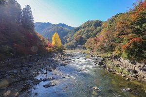香嵐渓　紅葉　11月　秋　愛知県豊田市の観光・撮影スポットの画像と写真