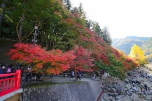 香嵐渓　紅葉　11月　秋　愛知県豊田市の観光・撮影スポットの画像と写真
