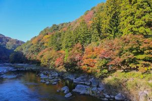 香嵐渓　紅葉　11月　秋　愛知県豊田市の観光・撮影スポットの画像と写真