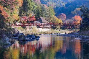香嵐渓　紅葉　11月　秋　愛知県豊田市の観光・撮影スポットの画像と写真