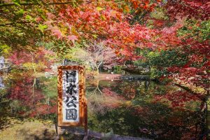 曽木公園　紅葉　秋　11月　岐阜県土岐市の観光・撮影スポットの画像と写真