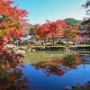 曽木公園　紅葉　リフレクション　秋　11月　岐阜県土岐市の観光・撮影スポットの画
