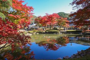 曽木公園　紅葉　リフレクション　秋　11月　岐阜県土岐市の観光・撮影スポットの画