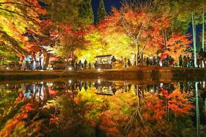 曽木公園　紅葉　ライトアップ　リフレクション　秋　11月　岐阜県土岐市の観光・撮影スポットの画像と写真
