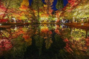 曽木公園　紅葉　ライトアップ　リフレクション　秋　11月　岐阜県土岐市の観光・撮影スポットの画像と写真