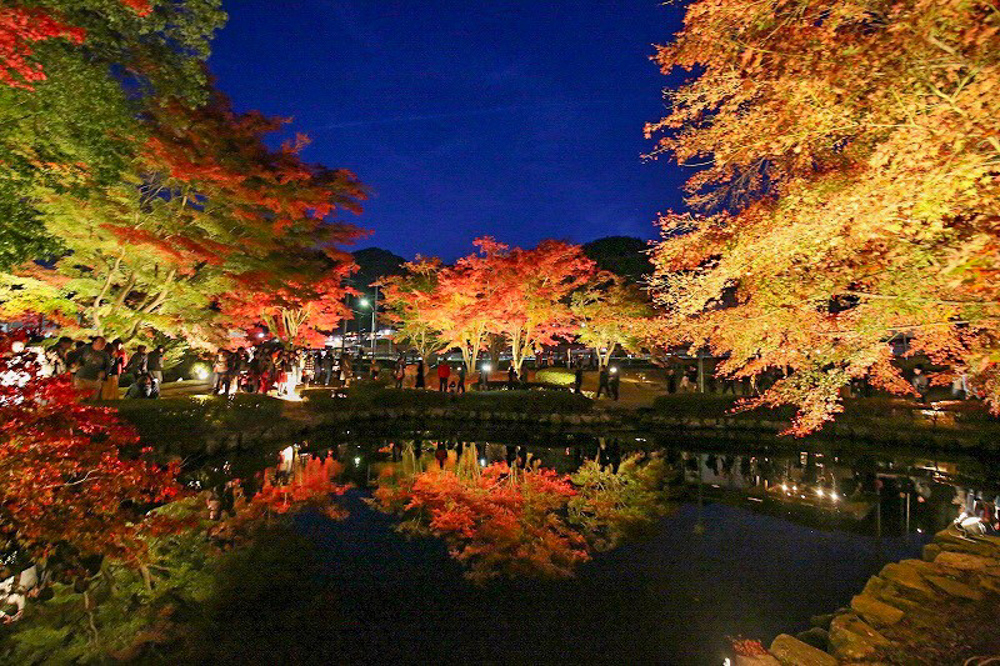 曽木公園　紅葉　ライトアップ　リフレクション　秋　11月　岐阜県土岐市の観光・撮影スポットの画像と写真