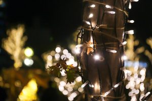 大名古屋ビルヂング　ウインターイルミネーション　12月　夜景　名古屋市中村区の観光・撮影スポットの写真と画像