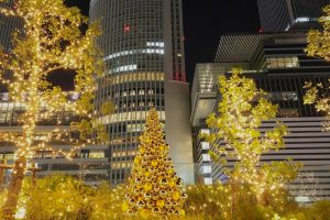 大名古屋ビルヂング　ウインターイルミネーション　12月　夜景　名古屋市中村区の観光・撮影スポットの写真と画像