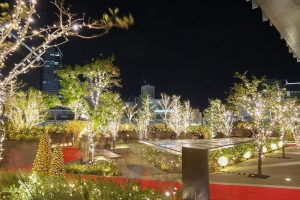 大名古屋ビルヂング　ウインターイルミネーション　12月　夜景　名古屋市中村区の観光・撮影スポットの写真と画像