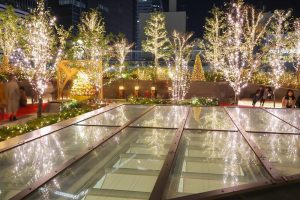 大名古屋ビルヂング　ウインターイルミネーション　12月　夜景　名古屋市中村区の観光・撮影スポットの写真と画像