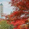 東山動植物園　紅葉　11月　愛知県名古屋市の観光・撮影スポットの画像と写真