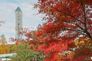 東山動植物園　紅葉　11月　愛知県名古屋市の観光・撮影スポットの画像と写真