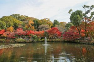 東山動植物園　紅葉　11月　愛知県名古屋市の観光・撮影スポットの画像と写真