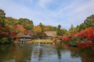 東山動植物園　紅葉　11月　愛知県名古屋市の観光・撮影スポットの画像と写真