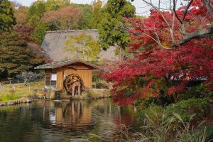 東山動植物園　紅葉　11月　愛知県名古屋市の観光・撮影スポットの画像と写真東山動植物園　紅葉　11月　愛知県名古屋市の観光・撮影スポットの画像と写真