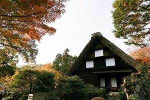 東山動植物園　紅葉　11月　愛知県名古屋市の観光・撮影スポットの画像と写真