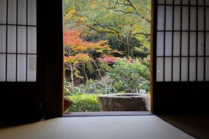 東山動植物園　紅葉　11月　愛知県名古屋市の観光・撮影スポットの画像と写真