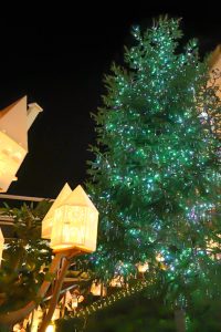 星が丘テラス　クリスマスイルミネーション　12月　名古屋市千種区の観光・撮影スポットの画像と写真
